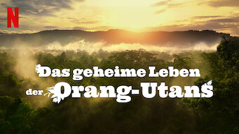 Das geheime Leben der Orang-Utans (2024)