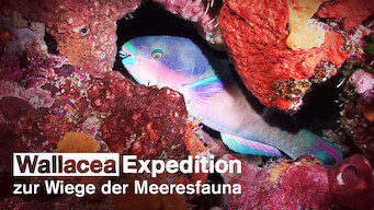 Wallacea - Expedition zur Wiege der Meeresfauna (2007)